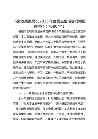 市财政局副局长2025年度民主生活会对照检查材料（7080字）