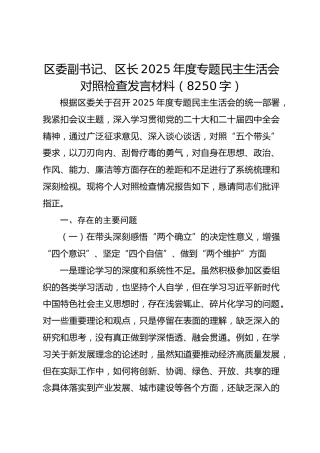 区委副书记、区长 2025 年度专题民主生活会对照检查发言材料（8250字）