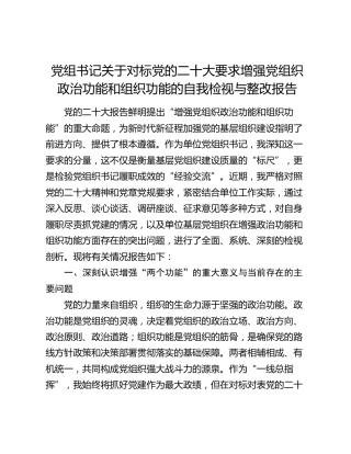增强党组织政治功能和组织功能的自我检视与整改报告