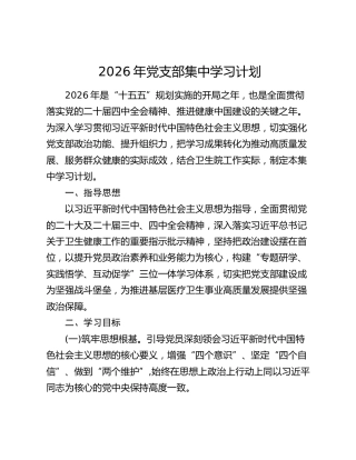 2026年卫生院党支部集中学习计划