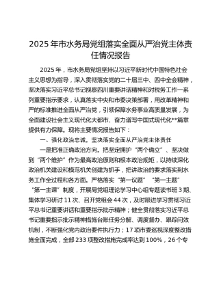 2025年市水务局党组落实全面从严治党主体责任情况总结报告