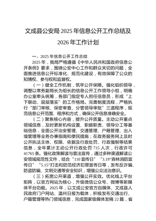 XX县公安局2025年信息公开工作总结及2026年工作计划