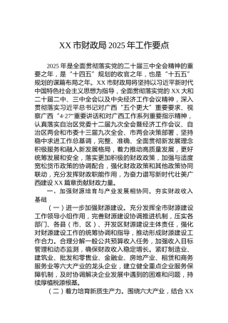 XX市财政局2025年工作要点