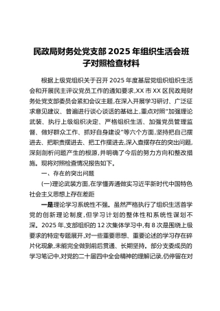 民政局财务处党支部2025年组织生活会班子对照检查材料