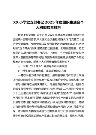 XX小学党支部书记2025年度组织生活会个人对照检查材料
