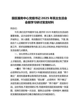 园区服务中心党组书记2025年民主生活会会前学习研讨发言材料