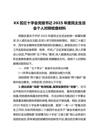 XX区红十字会党组书记2025年度民主生活会个人对照检查材料