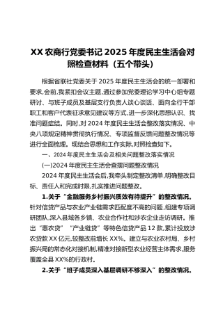 XX农商行党委书记2025年度民主生活会对照检查材料（五个带头）