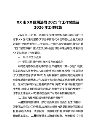 XX市XX区司法局2025年工作总结及2026年工作打算