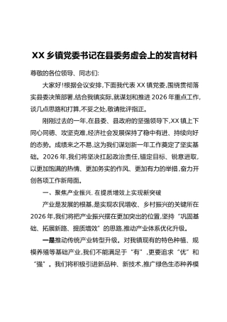 XX乡镇党委书记在县委务虚会上的发言材料