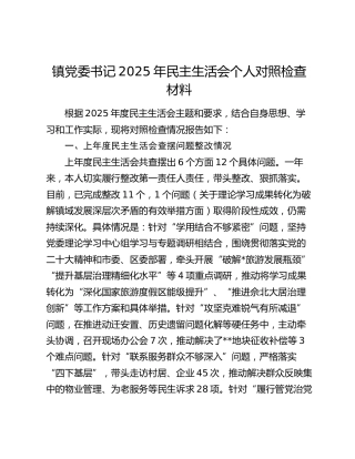 镇党委书记2025年民主生活会个人对照检查材料（上年度查摆问题整改情况+五个带头+典型案例剖析）