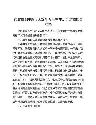 市政协副主席2025年度民主生活会对照检查材料（上年度查摆问题整改落实情况+五个带头+典型案例剖析）