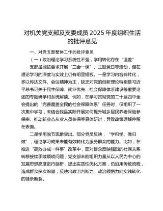 对机关党支部及支委成员2025年度组织生活的批评意见