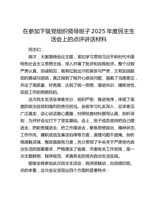 在参加下级党组织领导班子2025年度民主生活会上的点评讲话材料