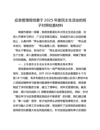 应急管理局党委于2025年度民主生活会的班子对照检查材料（上年度及有关问题整改落实情况+五个带头+典型案例剖析）