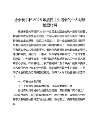 协会秘书长2025年度民主生活会的个人对照检查材料（五个带头+典型案例剖析）