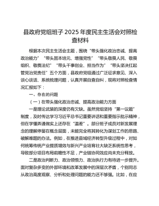 县政府党组班子2025年度民主生活会对照检查材料（五个带头）