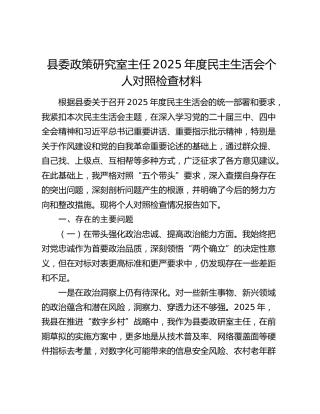 县委政策研究室主任2025年度民主生活会个人对照检查材料（五个带头+典型案例剖析）