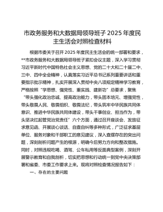 市政务服务和大数据局领导班子2025年度民主生活会对照检查材料（六个带头+典型案例剖析）