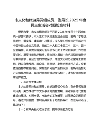 市文化和旅游局党组成员、副局长2025年度民主生活会对照检查材料（五个带头+典型案例剖析）
