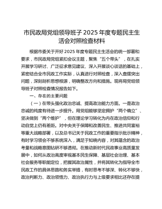 市民政局党组领导班子2025年度专题民主生活会对照检查材料（五个带头）