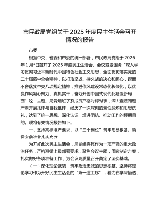 市民政局党组关于2025年度民主生活会召开情况的报告