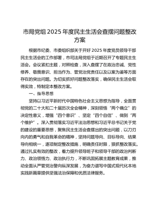 市局党组2025年度民主生活会查摆问题整改方案