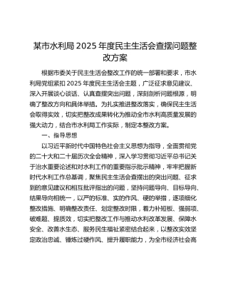 某市水利局2025年度民主生活会查摆问题整改方案