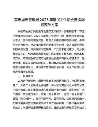 某市城市管理局2025年度民主生活会查摆问题整改方案