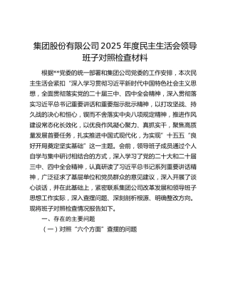 集团股份有限公司2025年度民主生活会领导班子对照检查材料（六个带头+落实巡视整改责任情况+典型案例剖析）