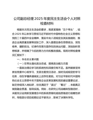 公司副总经理2025年度民主生活会个人对照检查材料（五个带头）