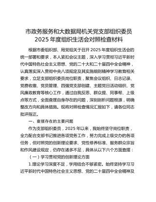 市政务服务和大数据局机关党支部组织委员2025年度组织生活会对照检查材料（六个方面）