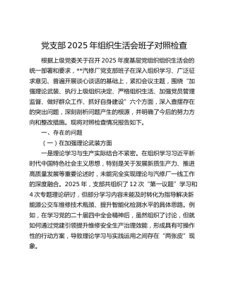 党支部2025年组织生活会班子对照检查（六个方面+典型案例剖析）