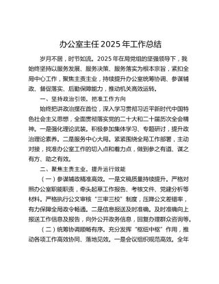办公室主任2025年工作总结