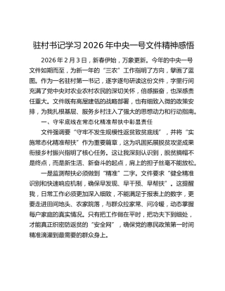 驻村书记学习2026年中央一号文件精神感悟