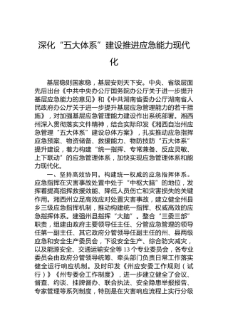 深化“五大体系”建设推进应急能力现代化