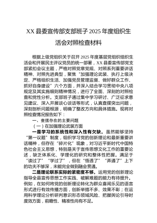 XX县委宣传部支部班子2025年度组织生活会对照检查材料