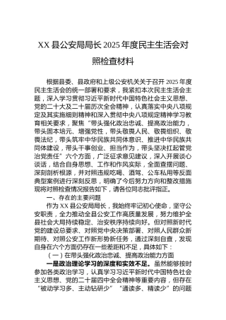 XX县公安局局长2025年度民主生活会对照检查材料