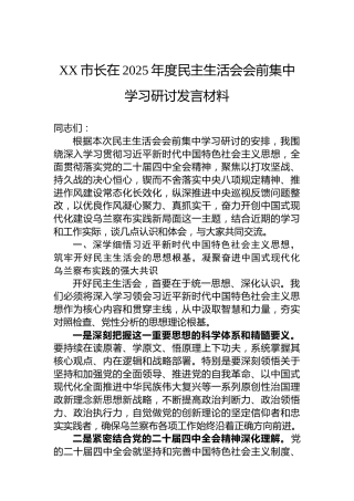 XX市长在2025年度民主生活会会前集中学习研讨发言材料