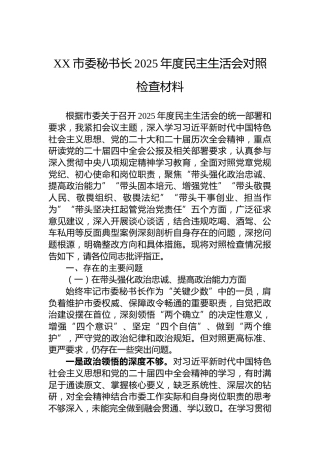 XX市委秘书长2025年度民主生活会对照检查材料