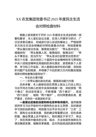 XX农发集团党委书记2025年度民主生活会对照检查材料