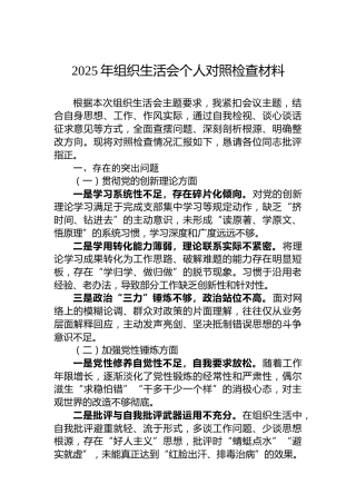 2025年组织生活会个人对照检查材料