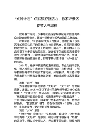 “火种计划”点燃旅游新活力，徐家坪景区春节人气爆棚