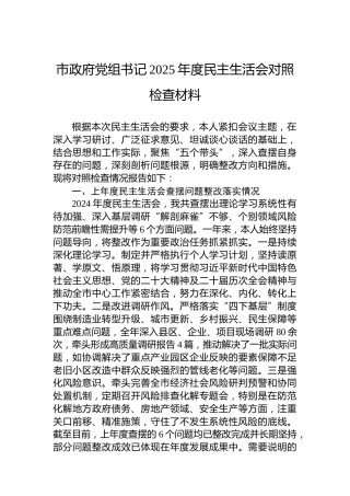 市政府党组书记2025年度民主生活会对照检查材料