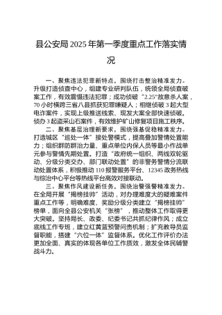 县公安局2025年第一季度重点工作落实情况