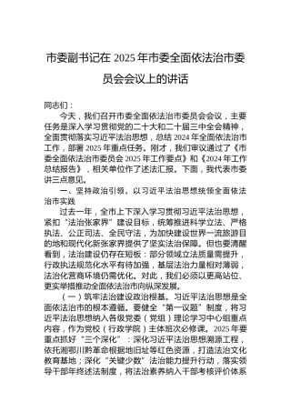 市委副书记在2025年市委全面依法治市委员会会议上的讲话