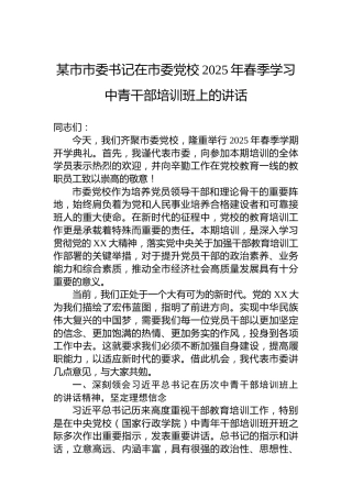 某市市委书记在市委党校2025年春季学习中青干部培训班上的讲话