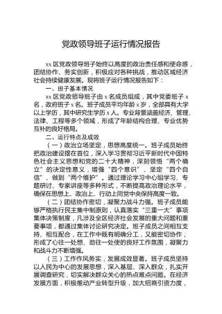 党政领导班子运行情况报告
