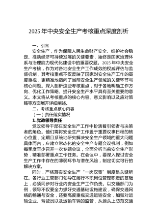 2025年中央安全生产考核重点深度剖析