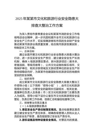 2025年某某市文化和旅游行业安全隐患大排查大整治工作方案